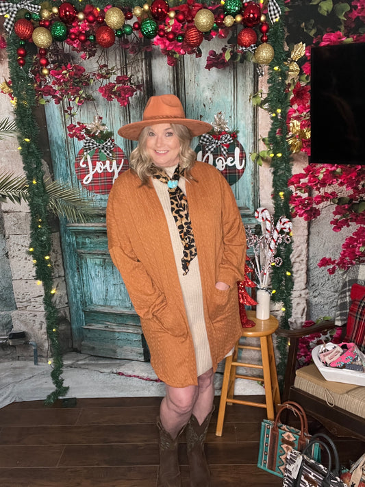 Chestnut Cozy Cardigan